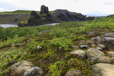 Field by basalt rock formations in Vatnajokull National Park, Iceland, Europe - RHPLF11190