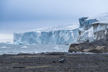 Champ-Insel, Archipel Franz Josef Land, Gebiet Archangelsk, Arktis, Russland, Europa - RHPLF11201