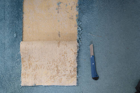 Removing old carpeting - CHPF00582