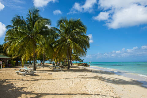 Blick auf Palmen am Pigeon Point Beach, Tobago, Karibik, lizenzfreies Stockfoto