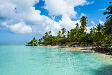 Scenic view of palm trees at Pigeon Point Beach against cloudy sky, Trinidad And Tobago, Caribbean - RUNF03171