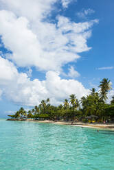 Landschaftliche Ansicht von Palmen am Pigeon Point Beach gegen bewölkten Himmel, Trinidad und Tobago, Karibik - RUNF03172