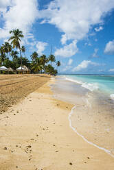 Blick auf Palmen am Pigeon Point Beach gegen den Himmel, Trinidad und Tobago, Karibik - RUNF03173