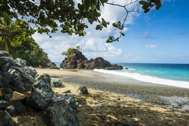 Scenic view of Turtle beach against blue sky at Tobago, Caribbean - RUNF03177