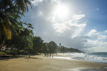 Blick auf das Meer bei bewölktem Himmel an einem sonnigen Tag, Stonehaven Bay, Tobago, Trinidad und Tobago, Karibik - RUNF03192