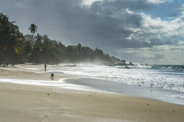 Landschaftliche Ansicht von Wellen, die gegen einen bewölkten Himmel an die Küste plätschern, Trinidad und Tobago, Karibik - RUNF03193