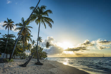 Blick auf Palmen am Pigeon Point Beach vor blauem Himmel bei Sonnenuntergang, Trinidad und Tobago, Karibik - RUNF03194