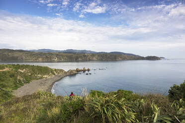 Oruaiti Reserve in Breaker Bay, Wellington, New Zealand, Oceania - RHPLF11294