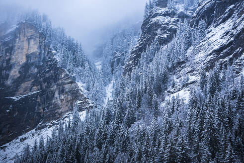 Winterlandschaft, Skigebiet Avoriaz, Port du Soleil, Auvergne Rhone Alpes, Französische Alpen, Frankreich, Europa - RHPLF11321