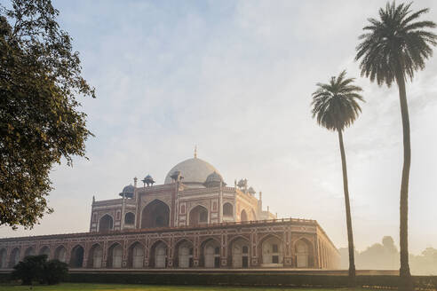 Palmen am Humayun-Grabmal bei Sonnenaufgang in Delhi, Indien, Asien - RHPLF11324