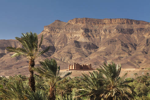 Kasbah Tamnougalt, Draa-Tal, hinter dem Jebel Kissane, Provinz Zagora, Marokko, Nordafrika, Afrika - RHPLF11346