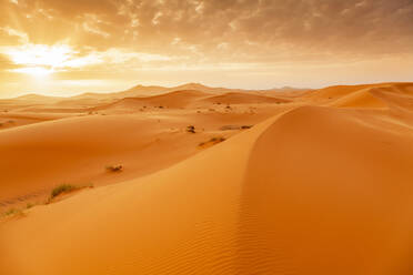 Erg Chebb bei Sonnenaufgang, Wüste Sahara, Südmarokko, Nordafrika, Afrika - RHPLF11353