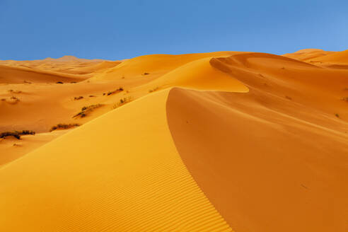 Sanddünen, Erg Chebbi, Wüste Sahara, Südmarokko, Marokko, Nordafrika, Afrika - RHPLF11357