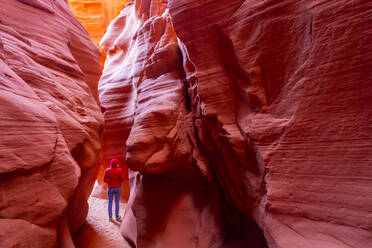 Antelope Canyon, Navajo Tribal Park, Page, Arizona, United States of America, North America - RHPLF11421