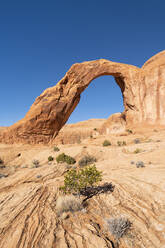 Corona Arch und Bootlegger Canyon, Moab, Utah, Vereinigte Staaten von Amerika, Nordamerika - RHPLF11447