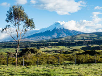 Green farmland and Cotopaxi volcano, Andes mountains, Ecuador, South America - RHPLF11466