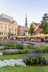 Livu-Platz, Altstadt, UNESCO-Weltkulturerbe, Riga, Lettland, Europa - RHPLF11621