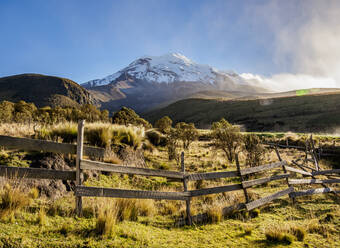 Chimborazo Volcano, Chimborazo Province, Ecuador, South America - RHPLF11645