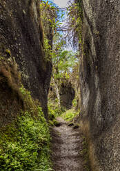 Felsenlabyrinth, Asilo de la Paz, Hochland der Insel Floreana (Charles), Galapagos, UNESCO-Weltkulturerbe, Ecuador, Südamerika - RHPLF11688