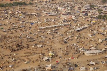 Aerial view of Pushkar Camel Fair, Pushkar, Rajasthan, India, Asia - RHPLF11743