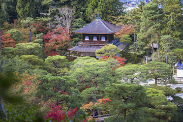 Ginkakuji Temple, UNESCO World Heritage Site, Kyoto, Japan, Asia - RHPLF11758