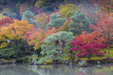 Tenryuji-Tempel, Sogen-Garten, UNESCO-Weltkulturerbe, Arashiyama, Kyoto, Japan, Asien - RHPLF11761