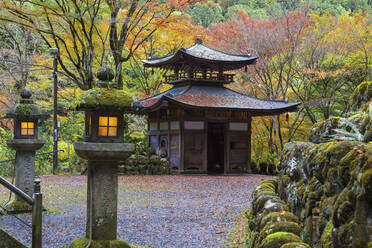 Otagi Nenbutsu-ji Temple, Arashiyama, Kyoto, Japan, Asia - RHPLF11768