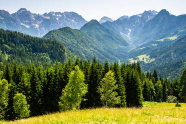 Blick auf die Berge bei Logarska Dolina, Slowenien, Europa - RHPLF11804