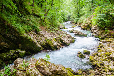 Radovna River flowing through Vintgar Gorge, near Bled, Slovenia, Europe - RHPLF11805