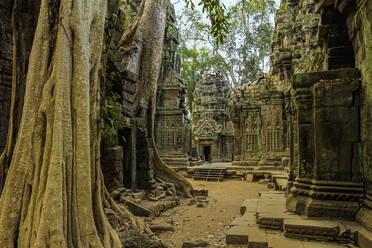 Galerien und Gopura-Eingang im Tempel Ta Prohm aus dem 12. Jahrhundert, einem Drehort des Tomb Raider-Films, Angkor, UNESCO-Weltkulturerbe, Siem Reap, Kambodscha, Indochina, Südostasien, Asien - RHPLF11856