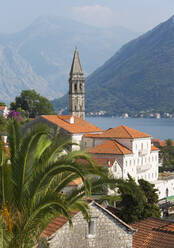 Blick über die Dächer auf die Bucht von Kotor, Campanile der Kirche St. Nikolaus (Sveti Nikola) prominent, Perast, Kotor, UNESCO-Weltkulturerbe, Montenegro, Europa - RHPLF11943