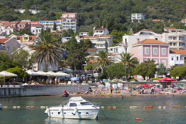 View from harbour to the town beach and palm-lined seafront promenade, Petrovac, Budva, Montenegro, Europe - RHPLF11948