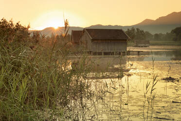 Bootshäuser am Kochelsee bei Sonnenaufgang, Oberbayern, Bayern, Deutschland, Europa - RHPLF11955