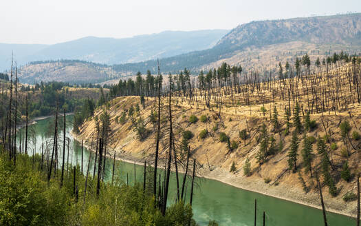 Blick auf unfruchtbares Land nach dem jüngsten Brand in der Nähe von Kamloops, British Columbia, Kanada, Nordamerika - RHPLF12025