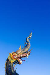Naga head at Wat Rong Suea Ten (Blue Temple) in Chiang Rai, Thailand, Southeast Asia, Asia - RHPLF12030
