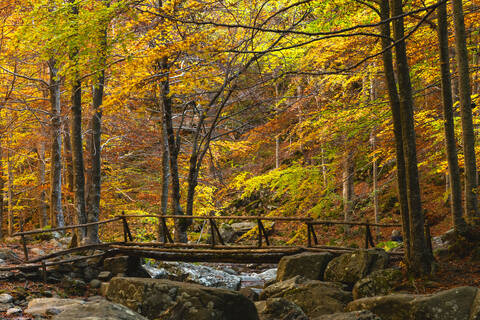 Herbst an den Wasserfällen der Dardagna, Tosco Emiliano Apennin, Apuanische Alpen, Lizzano in Belvedere, Emilia Romagna, Italien, Europa, lizenzfreies Stockfoto