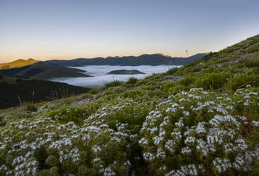 Sonnenaufgang auf den Sibillini-Bergen, Sibillini-Nationalpark, Umbrien, Italien, Europa - RHPLF12245