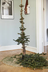 Toter Weihnachtsbaum - JOHF00946