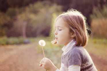 Girl blowing seeds from dandelion clock in field - XCF00219