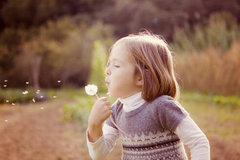 Girl blowing seeds from dandelion clock in field - XCF00220