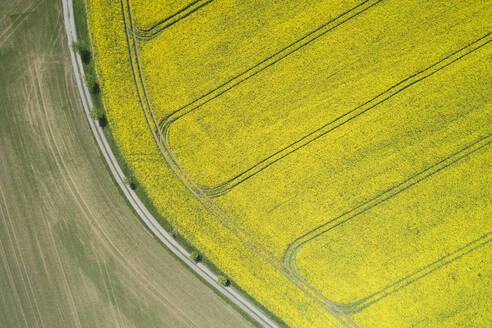 Deutschland, Thüringen, Schleiz, Luftaufnahme eines Feldwegs entlang ausgedehnter Rapsfelder im Frühling - RUEF02317