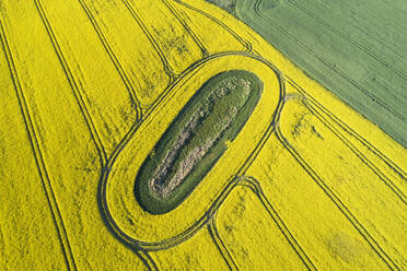 Germany, Mecklenburg-Western Pomerania, Aerial view of vast rapeseed field with green oval inside - RUEF02329