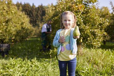 Mädchen bei der Ernte von Bio-Williams-Birnen, zeigt eine Birne - SEBF00241