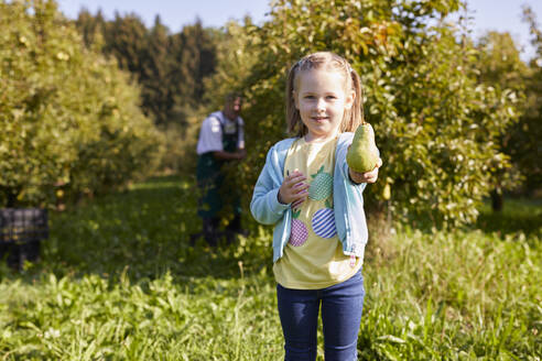 Mädchen bei der Ernte von Bio-Williams-Birnen, zeigt eine Birne - SEBF00241