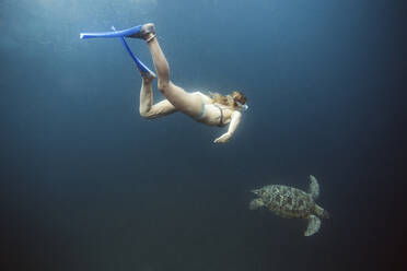 Indonesia, Bali, Underwater view of female diver swimming alongside lone turtle - KNTF03461