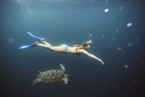 Indonesien, Bali, Unterwasseransicht einer Taucherfrau, die neben einer einsamen Schildkröte schwimmt - KNTF03462