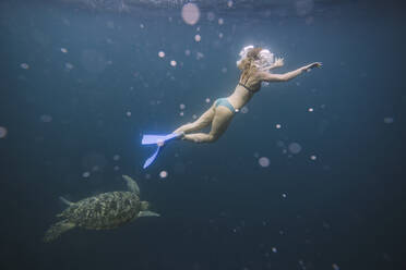Indonesia, Bali, Underwater view of female diver swimming alongside lone turtle - KNTF03463