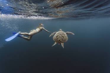 Indonesia, Bali, Underwater view of female diver swimming alongside lone turtle - KNTF03465