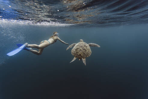 Indonesien, Bali, Unterwasseransicht einer Taucherfrau, die neben einer einsamen Schildkröte schwimmt - KNTF03465