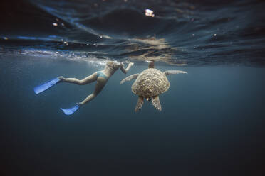 Indonesia, Bali, Underwater view of female diver swimming alongside lone turtle - KNTF03466